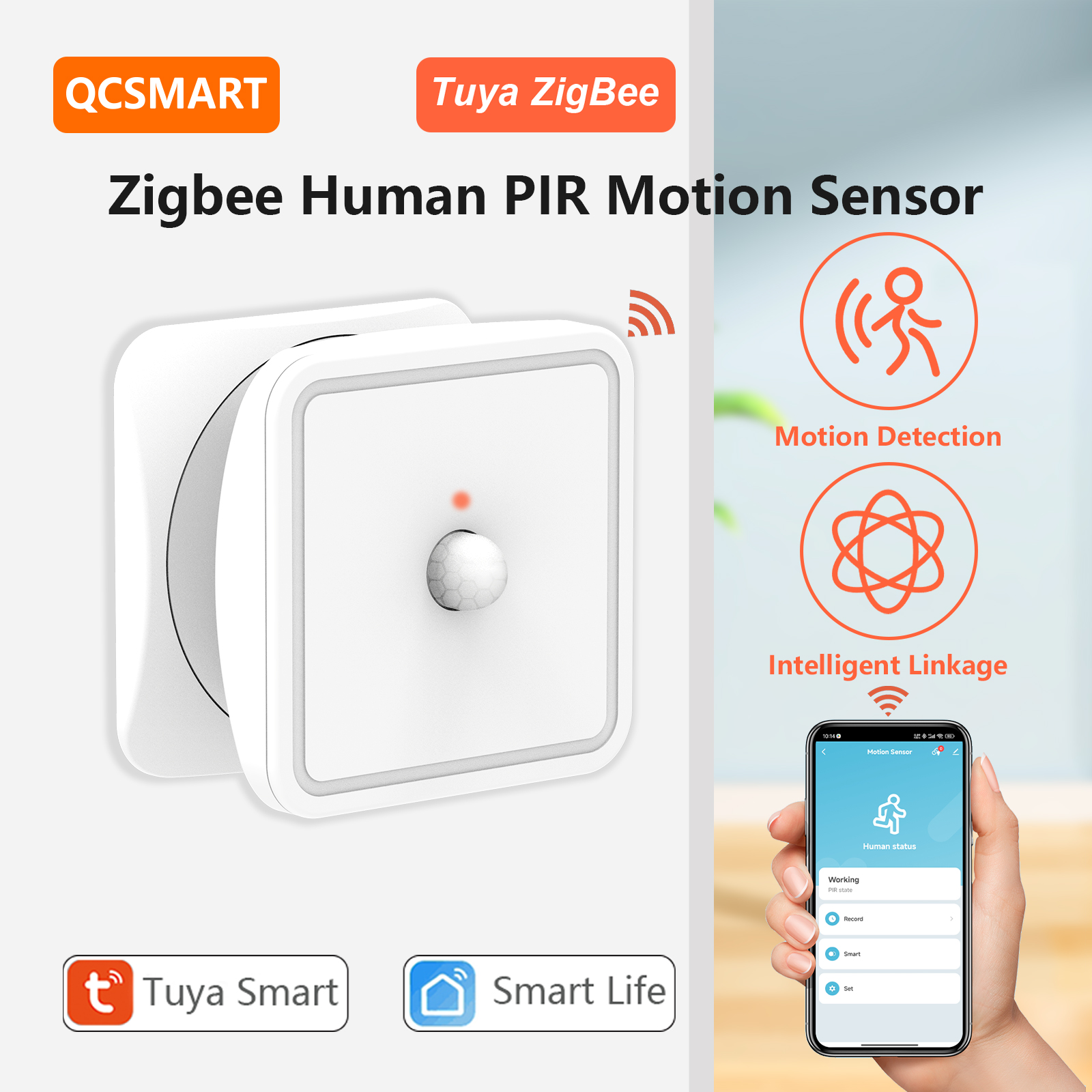 Home Security Services - Tuya ZigBee Human Motion Sensors PIR